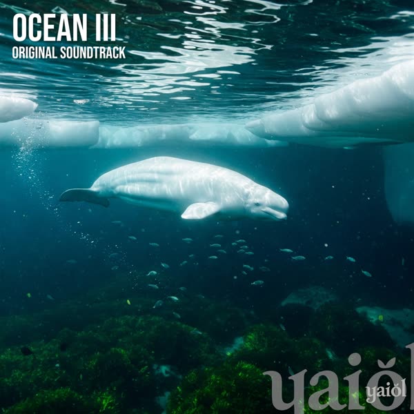 Cover of Ocean III