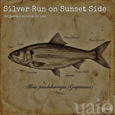 Cover of Silver Run on Sunset Side