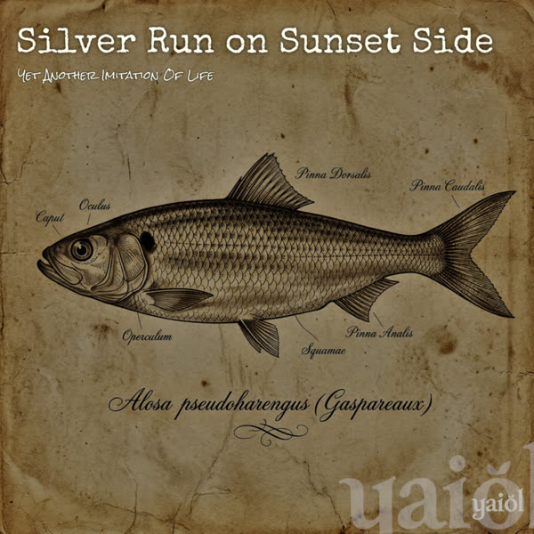 Cover of Silver Run on Sunset Side