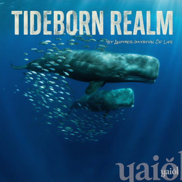 Cover of Tideborn Realm